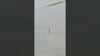 Float fishing 🎣👍💯 
