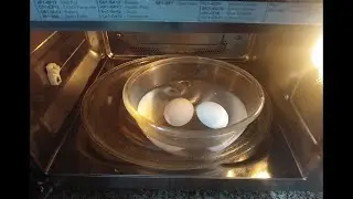 How to Boil Eggs in the Microwave Oven #shorts