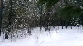 по гольчику вторым следом