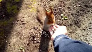 "Извольте-с отобедать" :)