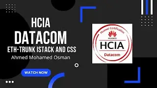 Eth-Trunk iStack and CSS - HCIA Datacom Training Lessons