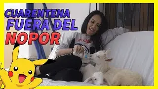Que Hago En Cuarentena Fuera Del NOPOR 🥴😻 | Katrina Moreno