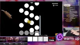 Endless Night 1.1x S Rank 95.67%