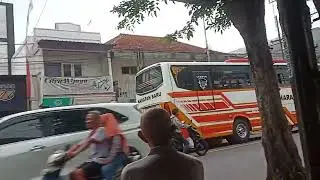 Bus telolet
