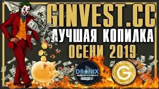 SCAM GINVEST ЛУЧШАЯ КОПИЛКА ОСЕНИ 2019