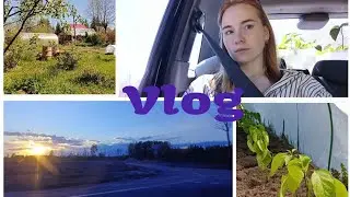 VLOG | Дачный влог  | морально отдыхаю