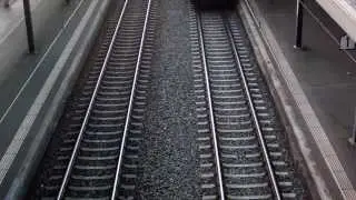 Zurich Summer 2015