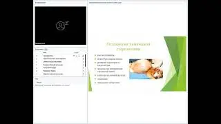 Овариогистероэктомия кошек и собак. Кастрация кобелей и котов. Показания. Техника.