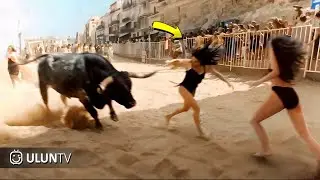 When Animals Go On A Rampage And Got Caught On Camera !