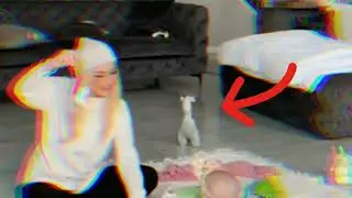 VIDEOS de TERROR Real PARANORMAL 2024 #terror #paranormal #fantasmas