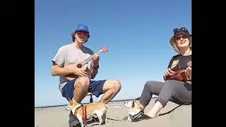 The Westside Digs - Shoulder Angels and Palm Trees Swayin' (Live on the Beach)