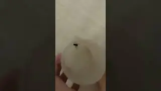 Казнь мухи) #мемы #ржака