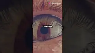 Unlocking the Secrets of the Human Eye: Amazing Facts!