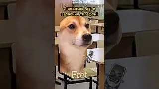 У тебя на контрольной звонил телефон?😅 
