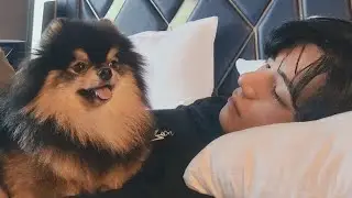 huzur içinde uyu tannie 🖤 taehyung - for us (Türkçe Çeviri)