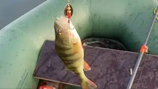 Бачкитау Рыбалка
