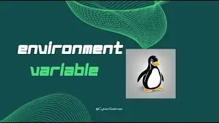 How to set environment variable in kali linux