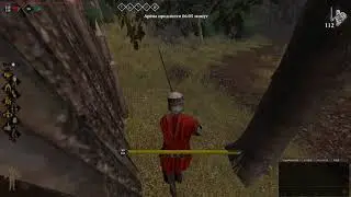 10 минут боли на арене. PIRATES! ~ [Life is feudal MMO]