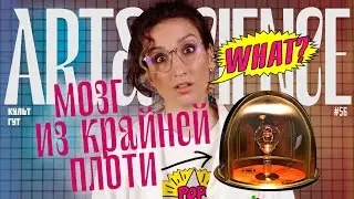 Зачем художники делают мозг из крайней плоти, впрыскивают себе кровь лошади? Что такое ART & SCIENCE
