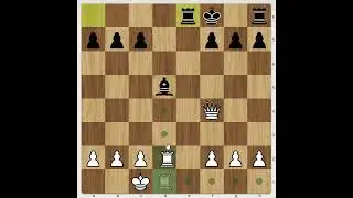 КАК ИГРАТЬ ШОТЛАНДКУ ПРОТИВ ЛЮБИТЕЛЯ