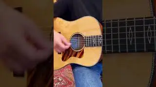 Times Like These - Eastman E16SS Limited Edition