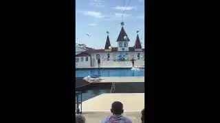 Дельфинарий часть 2