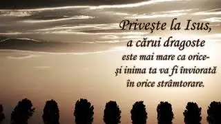 Adi Pop   Sunt clipe in viata ce dor
