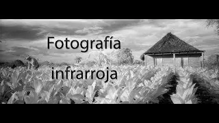 Fotografía infrarroja