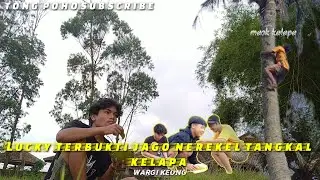PESEK KELAPA DI SAWAH BATUR LUCKY & ADIKNYA DEDE AMBON, HAUS DAN KEREBEKKAN PERUT HILANG‼️