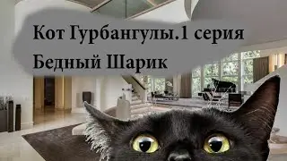 Кот Гурбангулы.1 серия:Бедный Шарик