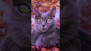 ART VS ARTIST CAT EDITION 