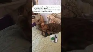 Голос жены. Посмешней анекдот. 