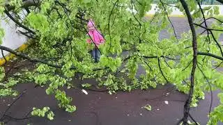 Налетел шторм с градом, упало дерево в нескольких метрах от нас с детьми. 12 мая 2021, 