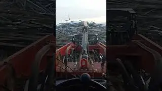Грузим дрова. 