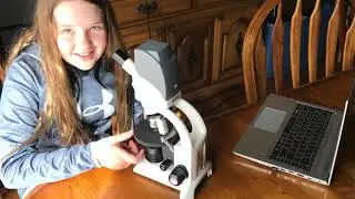 Microscope Pics March 23, 2020