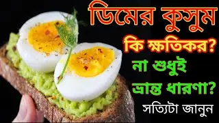 সত্যিই কি খাবো না ডিমের কুসুম? বিজ্ঞান কি বলে? Is Egg Yolk good for health?