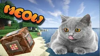 Meow