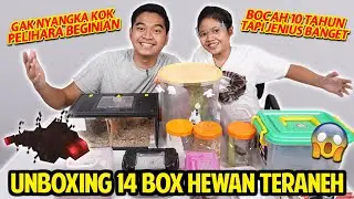 BOCAH INI PELIHARAANNYA ANEH SEMUA! UNBOXING 14 KOTAK HEWAN TERANEH PUNYA BOCAH PINTER 10 TAHUN INI!