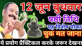 12 जून बुधवार उपाय| budhwar ke upay| budhwar upay pradeep mishra ji| pradeep mishra shivpuran