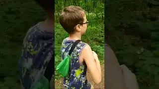 Ничего не понял 