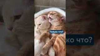 Логист и его вторая половинка💞 