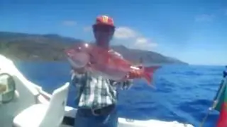 pesca ao pargo jigging