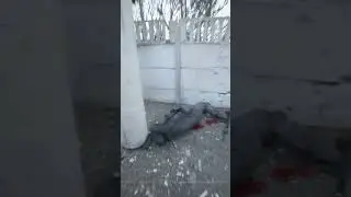 I love the Realistic Graphics of this Game! - BODYCAM