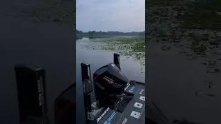 Morning Rock (Walk) to the Boat!! Go Fish!!