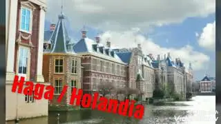 Adelaars Den Haag