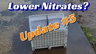 Does Anoxic Filtration Lower Nitrates? Update #5