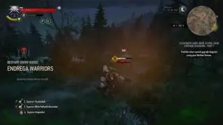 The Witcher 3: Wild Hunt - NG++ Alchemy Builds OWN!