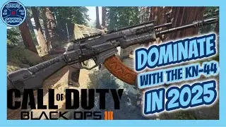How to Use The KN-44 Call Of Duty Black Ops III 2025 Guide (Best Perks, Tips & Gameplay)