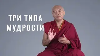 3 типа мудрости
