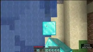 POV : you hit puberty in Minecraft